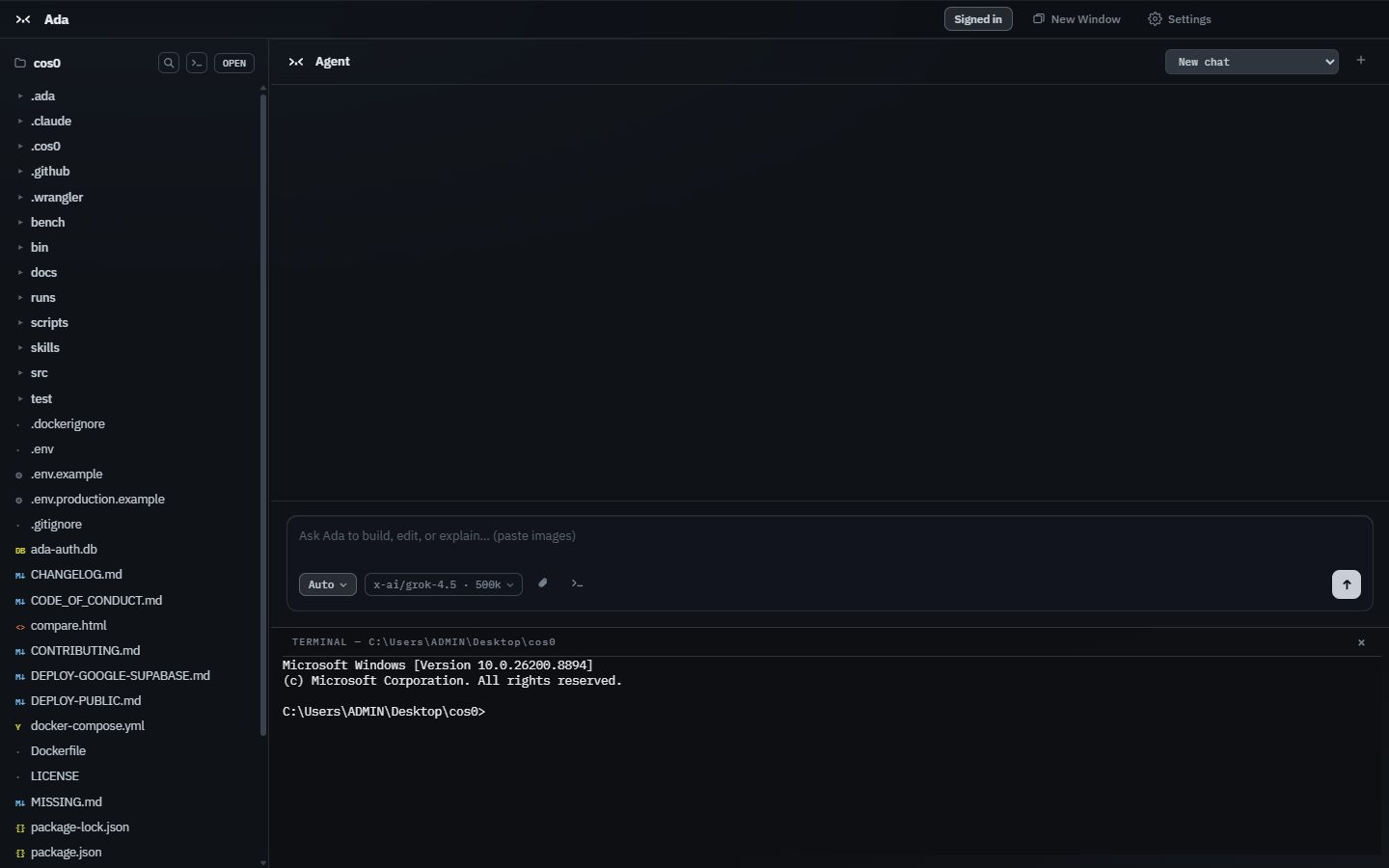 The integrated terminal open beneath the agent pane